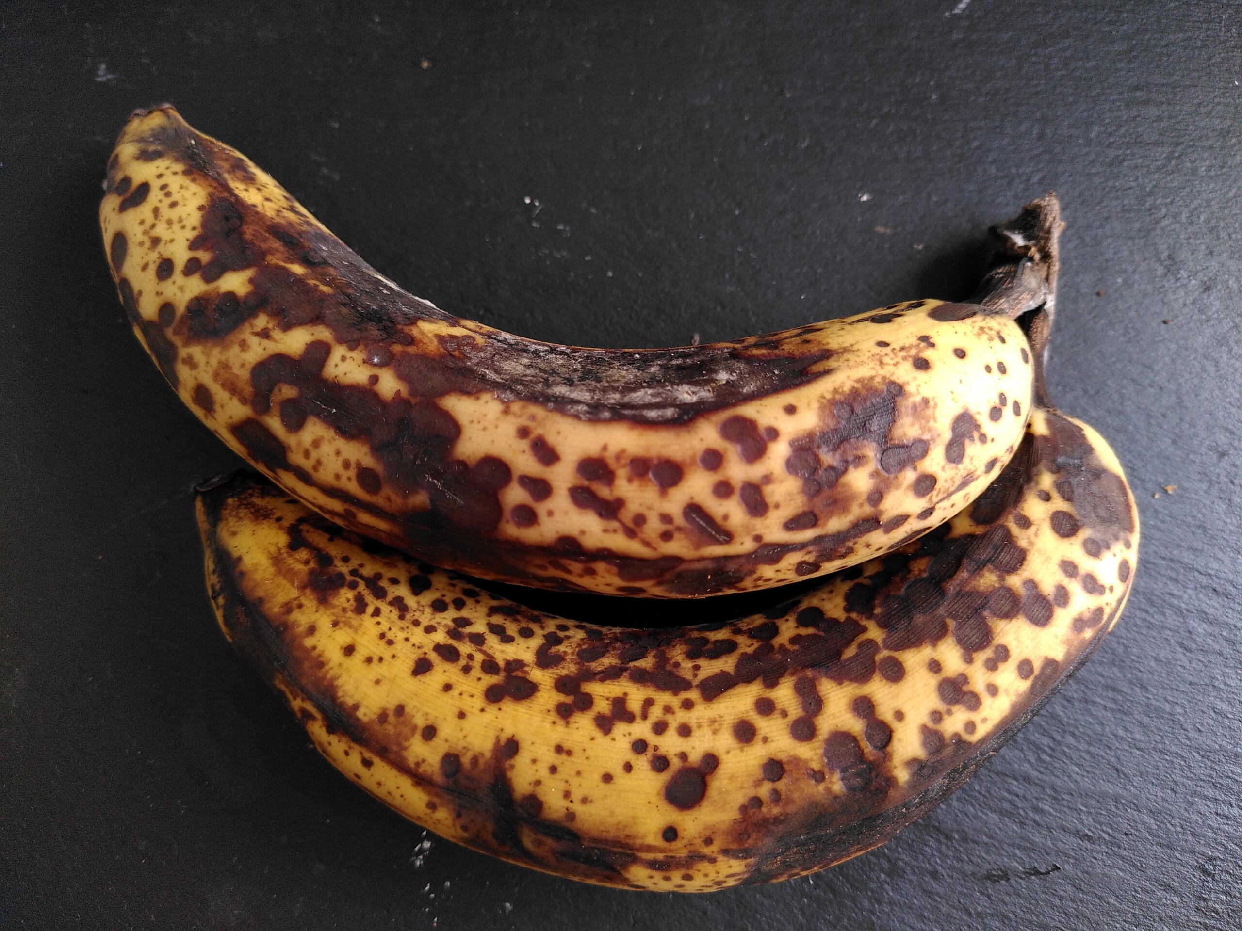 Two rotting bananas, brown and mottled