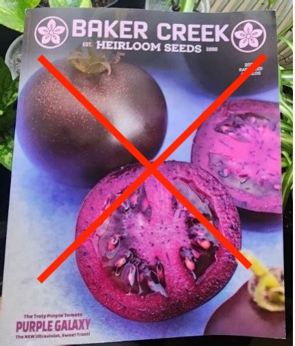 A brochure for purple heirloom tomatoes showing a cut tomato and a whole one. With a red cross overlaid
