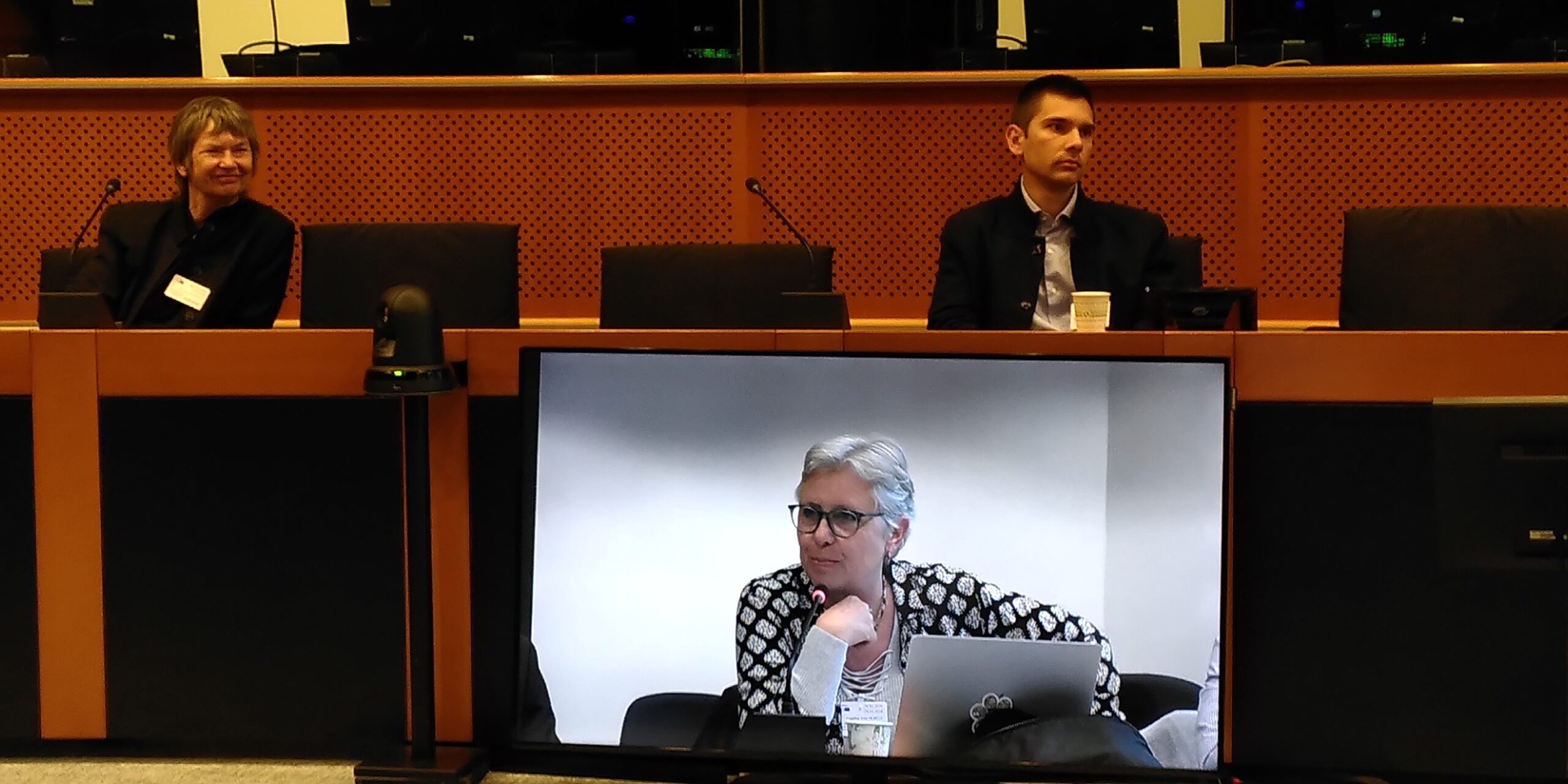 Dr Angelika Hilbeck chaired the discussion